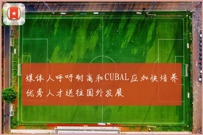 媒体人呼吁耐高和CUBAL应加快培养优秀人才送往国外发展